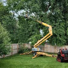 Best Lot and Land Clearing  in Sissonville, WV
