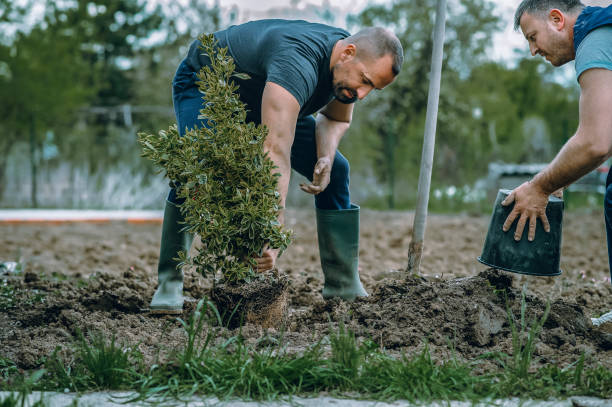 Best Soil Testing and Treatment  in Sissonville, WV